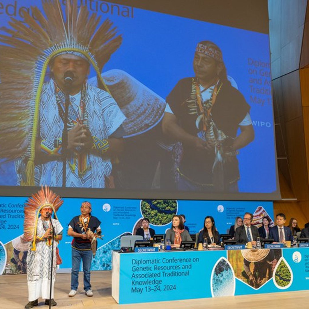 Aprovado Tratado da OMPI sobre PI, Recursos Genéticos e Conhecimentos Tradicionais Associados