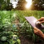 Agricultura Digital: Novas Fronteiras para a Segurança Alimentar Sustentável