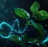 O dilema das bios: o efeito colateral estratégico do sistema brasileiro na bioeconomia, por Leonardo Cordeiro